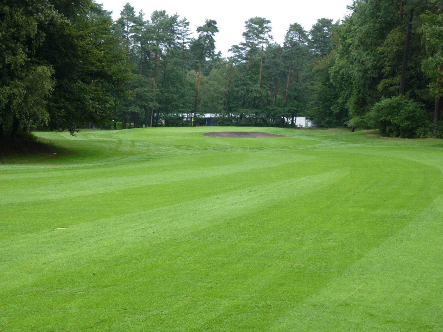 Fix Golf Antrenörü
